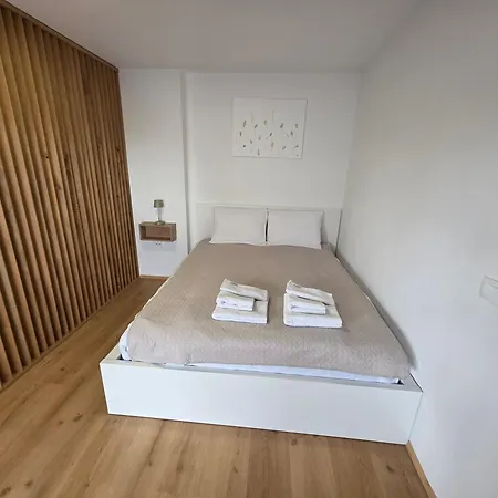 Apartman Erika's - House Šenčur