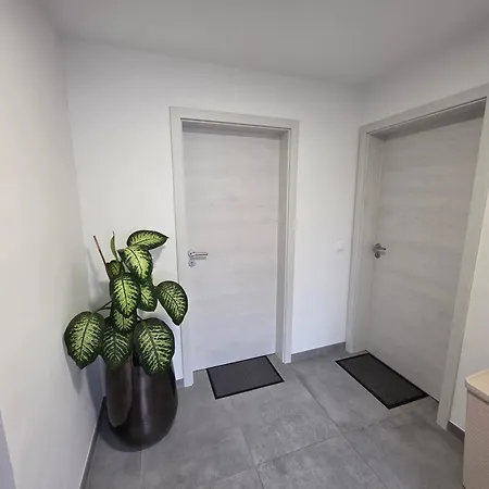 Erika's - House